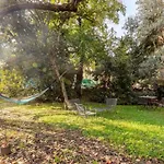 Tiny House On Water Surrounded By Greenery Διαμέρισμα *